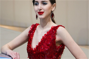 上海问责制的国际比较研究